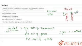 Haploids are able to express both recessive and dominant alllels mutations because there are [upl. by Nahpets]