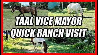 MGM RANCH QUICK HORSE VISIT [upl. by Shelli]