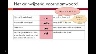 Uitleg Aanwijzend Voornaamwoord Frans [upl. by Avaria]