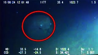 12 Mysterious Underwater Creatures Caught on Tape [upl. by Sinnylg]