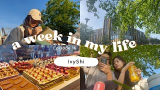 uk uni vlog Ep 16  work in Lab👩🏻‍⚕️ study till nite😵‍💫 Picnic 🏕️ FOOOD🍽️ [upl. by Alisan]