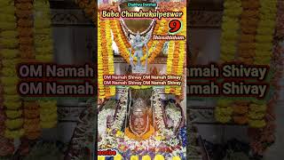 Shivashtakam  9 Stavam Yah Prabhate Narah Shulapane  Baba Chandrakalpeswar  SNo  381 [upl. by Verner]