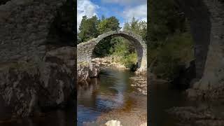 Old Pack Horse Bridge Carrbridge Scottish Highlands dogfriendlytravel Highlands [upl. by Gredel575]