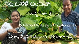 Nela BasaleBombayi basale ambat in Gowda Saraswatha Brahmins style health benefitsstay healthy [upl. by Aliuqat712]