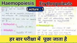 haemopoiesis notes  hematopoiesis  erythropoiesis physiology  erythropoietin  rbc production [upl. by Elspet]