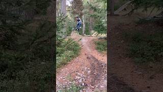 Failed whip on my mtb mtb hillefreeride mountainbike Dirtjumps [upl. by Leihcim426]