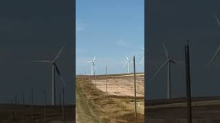 Alta wind farm reelsbauhausvlog [upl. by Nyleuqaj]