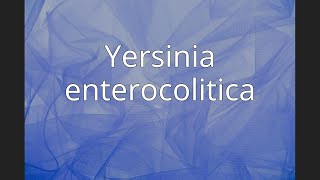 Yersinia enterocolitica [upl. by Fortunia]