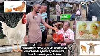 Présentation de la ferme avicole MUSIE à Bassam Côte dIvoire Avec Coach Samassi Abdoul Ramzi [upl. by Tnecnivleahcim639]