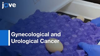 Gynecological and Urological Cancer study by Chorioallantoic Membrane  Protocol Preview [upl. by Odnanref]