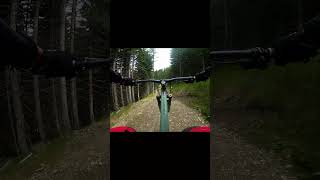 INSANE LEOGANG JUMPLINE [upl. by Ysiad]