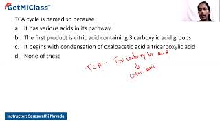 TCA cycle  KCET 11th Biology Respiration in Plants [upl. by Yates]