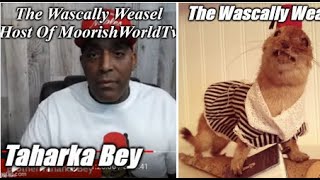 Re Tariq Nasheed Gives Wascally Weasel Taharka Bey A Big Loss In COURT  MoorishWorldTv RANT [upl. by Dekow]