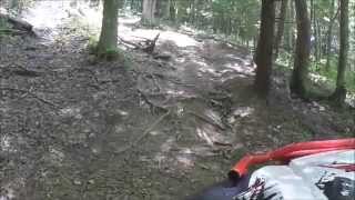 Wildcat Sport 700 Climbs Root Hill [upl. by Blodget410]