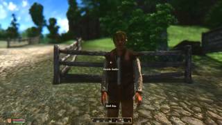 Oblivion  PC  Aero Phonics ENB Preset [upl. by Moritz849]