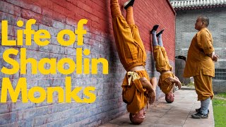 An exemplary Shaolin warrior monk少林功夫人物yanhao shaolinkungfuyanhao [upl. by Eelloh]