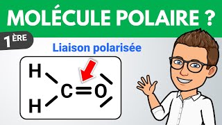 Liaison polarisée et molécule polaire ✏️ Exercice  1ère  Chimie [upl. by Erik]