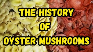 The History of Oyster Mushrooms [upl. by Kaila]