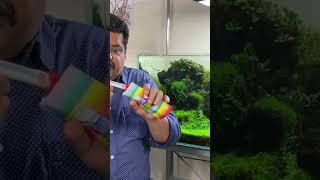 Aquarium Water Testing Made SIMPLE with Strips [upl. by Nittirb]