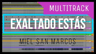 💻 Exaltado Estás  Miel San Marcos  Multitrack Secuencia 🔴🔵 [upl. by Yelhs838]