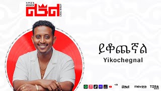 Leul Sisay  ይቆጨኛል  Yikochegnal Track 05 Official Audio [upl. by Matlick]