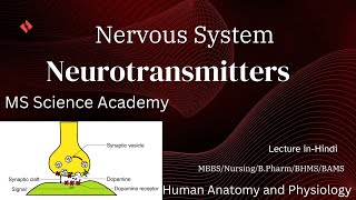 NeurotransmittersHuman Anatomy amp PhysiologyMBBSBpharmNursingLecture in Hindi [upl. by Phares]