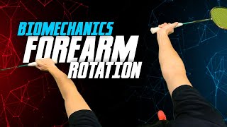 MUST learn Forearm Rotation BioMechanics  Badminton Famly [upl. by Eekram560]