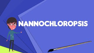 What is Nannochloropsis Explain Nannochloropsis Define Nannochloropsis Meaning of Nannochloropsis [upl. by Sweeney]