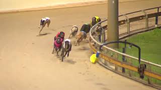 Rockhampton06112024Race6 [upl. by Dnalyag]