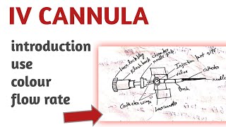 iv cannula types use  colour paramedical lecture iv cannula notes [upl. by Reace]