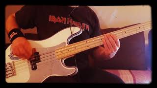 DIE TOTEN HOSENALTES FIEBER BASS COVER [upl. by Errehs108]