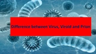 Difference between virus viroid and prions [upl. by Cranford]