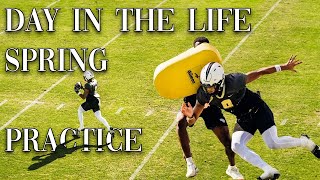 Day In The Life Of A D1 Athlete  UCF💛🖤 [upl. by Yuma1]