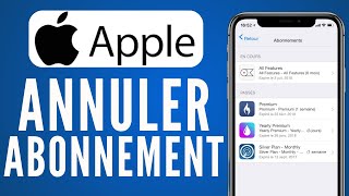 Comment Annuler Un Abonnement iCloud Sur iPhone  FACILE [upl. by Morgenthaler]