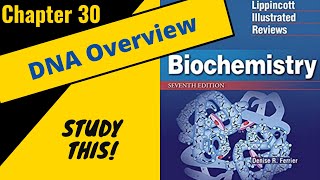 Lippincotts Biochemistry Review Chapter 30 DNA replication and Repair  Study This [upl. by Krutz55]