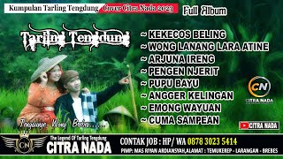 KUMPULAN TARLING TENGDUNG COVER CITRA NADA 2023 [upl. by Rapsag]