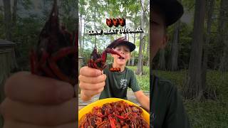 🦞 How To Get All The Crawfish Claw Meat louisiana crawfish food howto crawfishboil [upl. by Keavy]