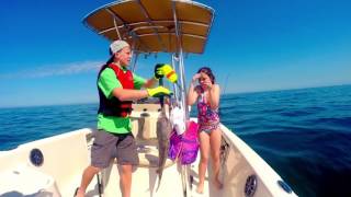 HOMOSASSA GROUPER FISHING AND SWIMMING WITH MANATEE [upl. by Ahsinnek]