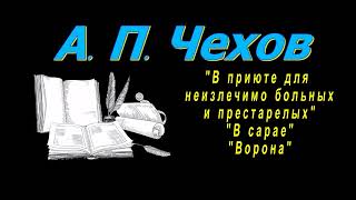 А П Чехов quotВ приюте для неизлечимо больных и престарелыхquot quotВ сараеquot quotВоронаquot рассказы аудиокнига [upl. by Penrod]