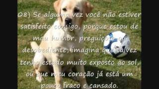 10 Pedidos de um CãoMarley e Eu [upl. by Anigroeg565]