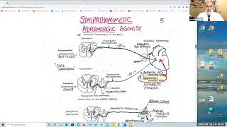 RDHAP 2 Autonomic Drugs [upl. by Gershom]