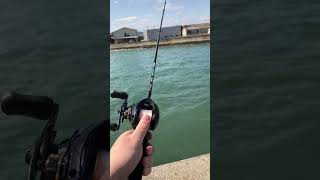 Shimano Bass one xt shorts baitcasting reel fishing [upl. by Charmine648]