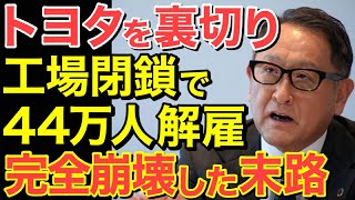 【海外の反応】トヨタを裏切ってEVを推進したイギリスの悲惨な末路…【にほんのチカラ】 [upl. by Nohsreg302]