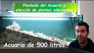 Acuario de 500 Litros Las Plantas Usadas amp Plantado del Proyecto [upl. by Anitsirk560]