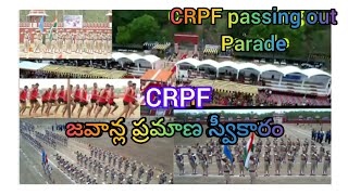 CRPF training completed passing out parade subinspector like yt shorts viral share subscribe [upl. by Fitzhugh822]