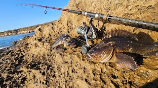 Catching Rockfish From Shore Using Squid [upl. by Marcy]