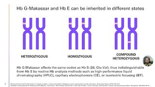 Compound Heterozygosity for Hemoglobin GMakassar – Video abstract 432849 [upl. by Darian]