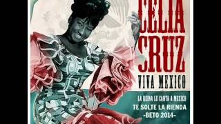 TE SOLTE LA RIENDA CELIA CRUZ BETO 2014 [upl. by Idyak]