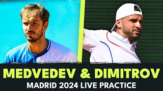 LIVE STREAM Daniil Medvedev vs Grigor Dimitrov Practice  Madrid 2024 [upl. by Dorita287]