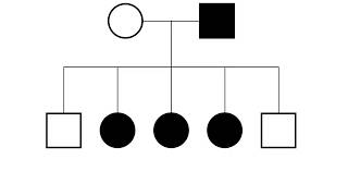 XLinked Pedigrees MADE EASY [upl. by Eilyr822]